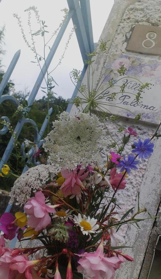 La Paloma Casa Vacanze Lucinasco エクステリア 写真